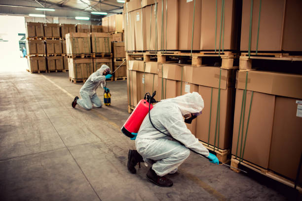 Best Best Pest Control Companies  in Baywood, NY