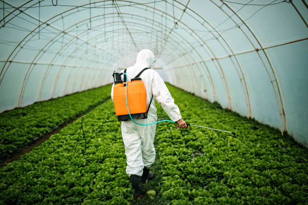 Best Best Pest Control Companies  in Baywood, NY