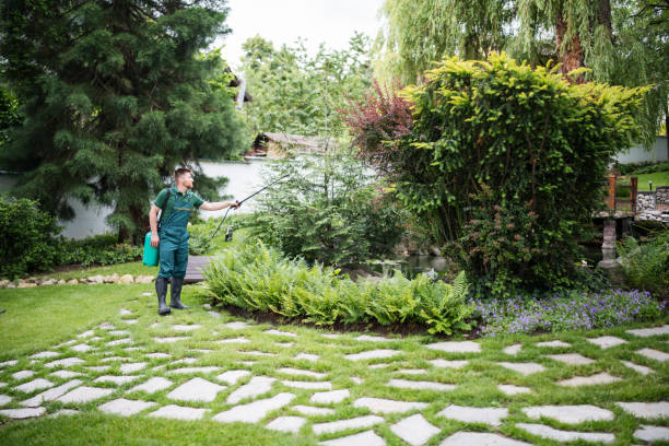 Best Residential Pest Control  in Baywood, NY