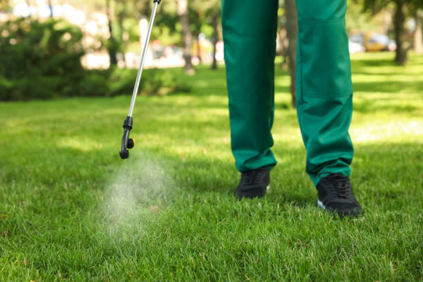 Best Exterminator Services  in Baywood, NY