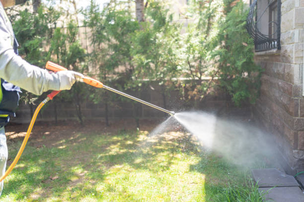 Best Termite Control Services  in Baywood, NY