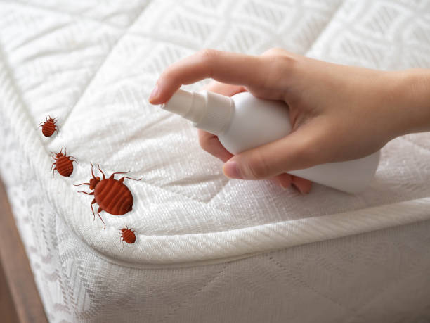 Best Pest Control Near Me  in Baywood, NY