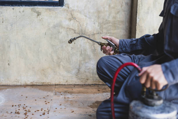 Best Affordable Pest Control Services  in Baywood, NY